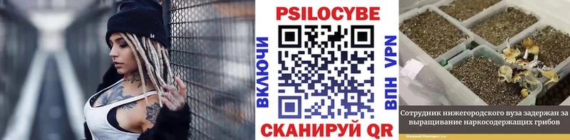 Галлюциногенные грибы Cubensis блэк спрут Рыльск